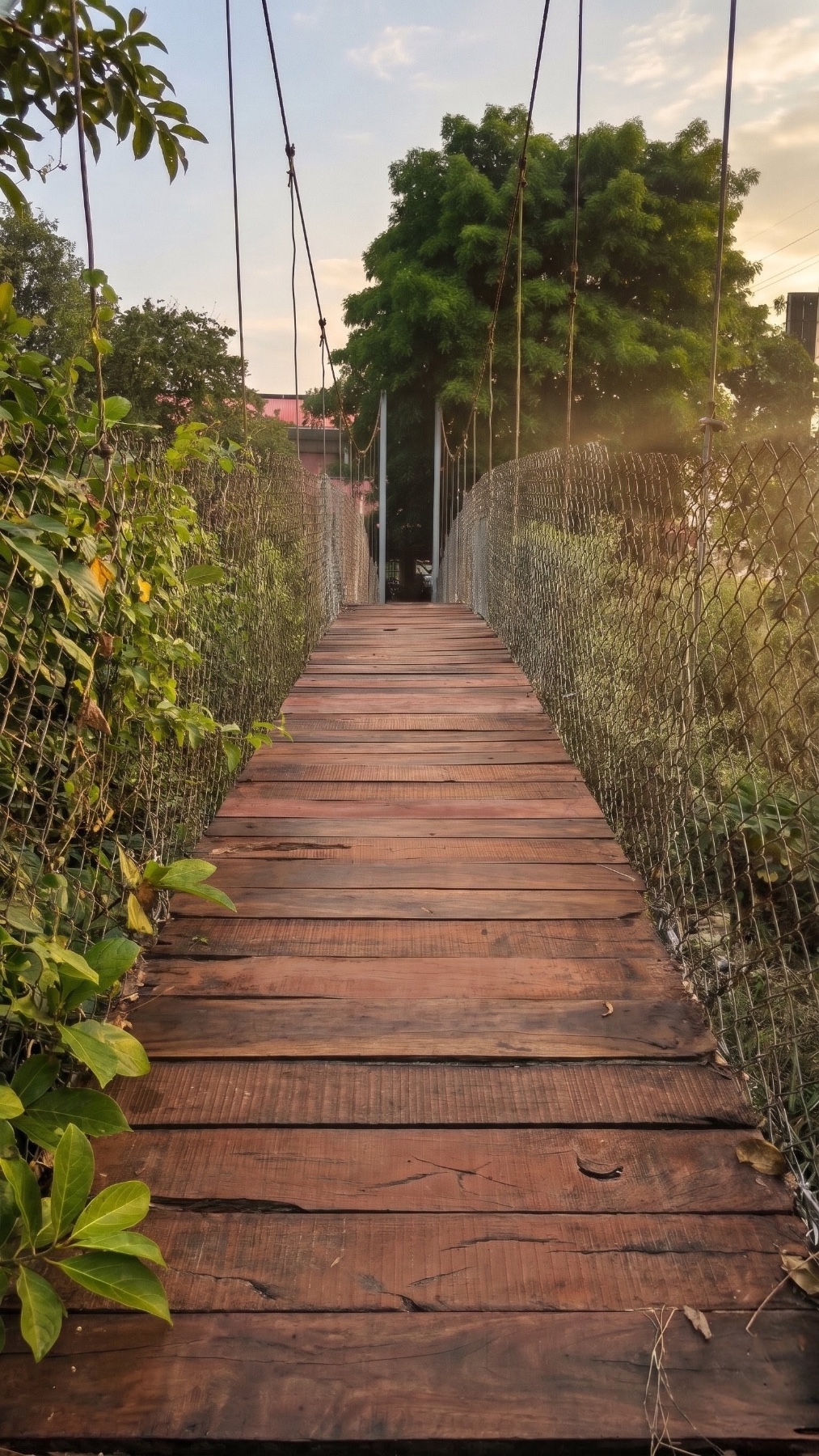 Shravan Setu - The bridge of Infinity